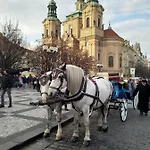& Pliskovice 公寓 Mirovice
