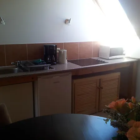 & Pliskovice Apartament Mirovice
