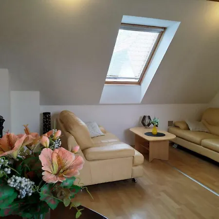 Apartament & Pliskovice Mirovice