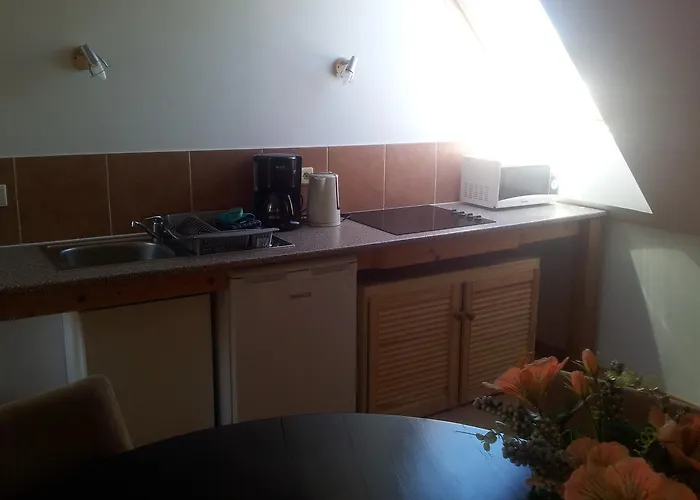 & Pliskovice Διαμέρισμα Mirovice